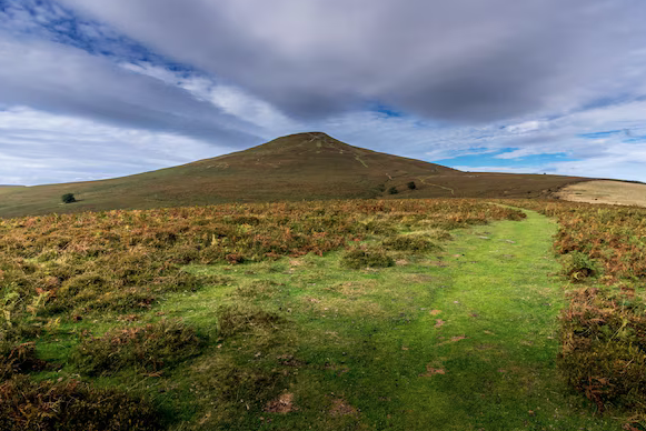 Sugarloaf mountain
